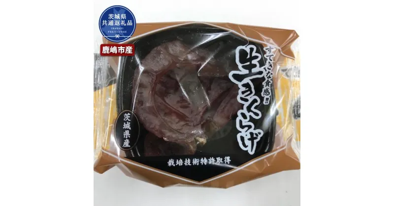 【ふるさと納税】きくらげ 1パック50g×36パック 茨城県共通返礼品・鹿嶋市産 送料無料