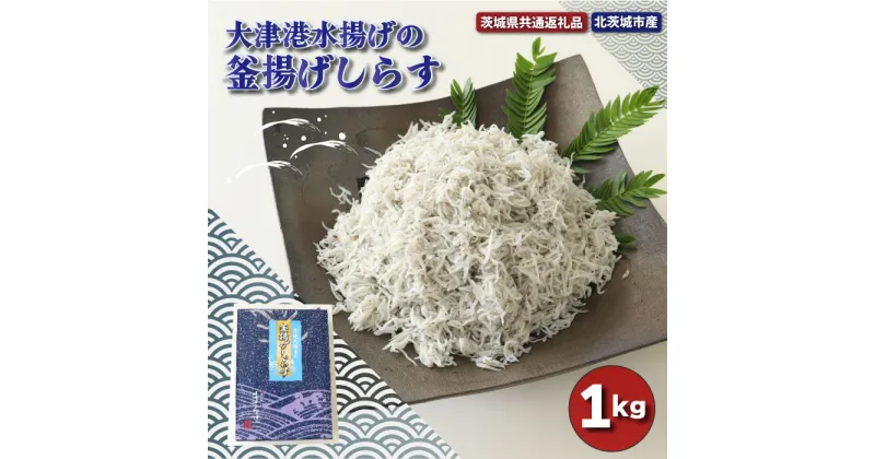 【ふるさと納税】大津港水揚げの釜揚げしらす 1kg 茨城県共通返礼品 北茨城市産 新鮮 しらす 地元大赤穂 天然塩 ふっくら 釜揚げ 安心 安全 減塩仕立て 健康 しらす丼 魚介類 海産物 魚 シラス やみつき ご飯のお供 おつまみ 酒の肴 おやつ サラダ 送料無料