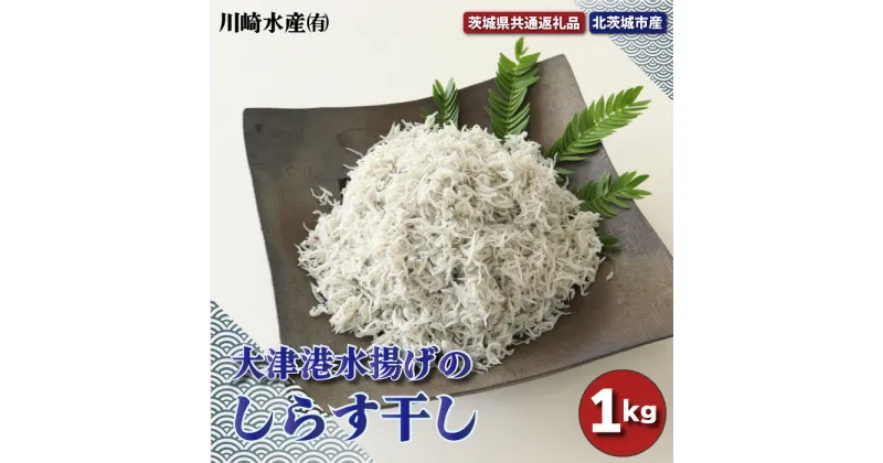 【ふるさと納税】大津港水揚げのしらす干し 1kg 茨城県共通返礼品 北茨城市産 新鮮 しらす 地元大赤穂 天然塩 ふっくら 釜揚げ 安心 安全 減塩仕立て 健康 しらす丼 魚介類 海産物 魚 シラス やみつき ご飯のお供 おつまみ 酒の肴 おやつ サラダ 送料無料