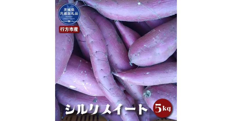 【ふるさと納税】さつまいも シルクスイート 5kg なめらか食感 甘い 焼き芋 ねっとり しっとり 甘みが強い スイーツ 料理 てんぷら スイートポテト お菓子作り 茨城県共通返礼品・行方市産 送料無料