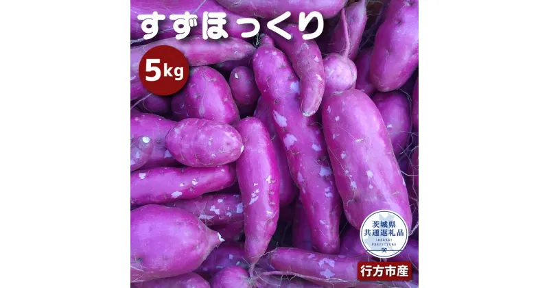 【ふるさと納税】さつまいも すずほっくり 5kg なめらか食感 甘い 焼き芋 ねっとり しっとり 甘みが強い スイーツ 料理 てんぷら スイートポテト お菓子作り 茨城県共通返礼品・行方市産 送料無料