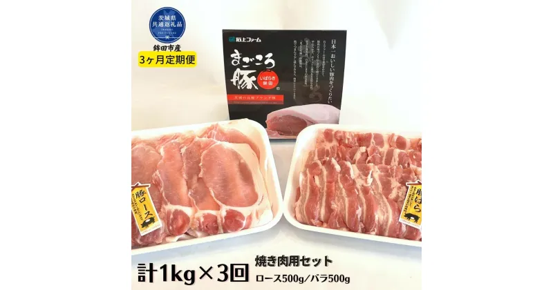 【ふるさと納税】3ヶ月定期便 まごころ豚 焼き肉セット 1kg ロース&バラ ×3回 茨城県共通返礼品 鉾田市産 送料無料