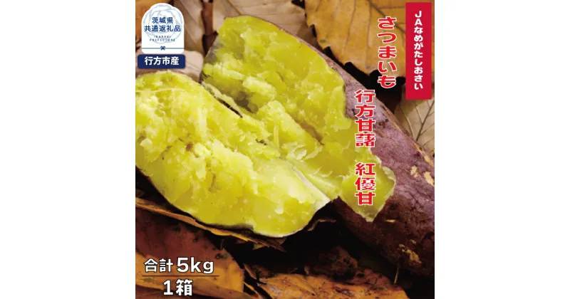 【ふるさと納税】先行予約 さつまいも 行方甘藷 紅まさり 5kg 茨城県共通返礼品・行方市産 なめらか食感 甘い 焼き芋 ねっとり しっとり 甘みが強い スイーツ 料理 てんぷら スイートポテト お菓子作り 送料無料