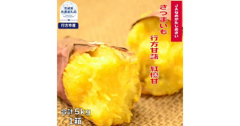 【ふるさと納税】先行予約 さつまいも 行方甘藷 紅優甘 5kg 茨城県共通返礼品・行方市産 なめらか食感 甘い 焼き芋 ねっとり しっとり 甘みが強い スイーツ 料理 てんぷら スイートポテト お菓子作り 送料無料