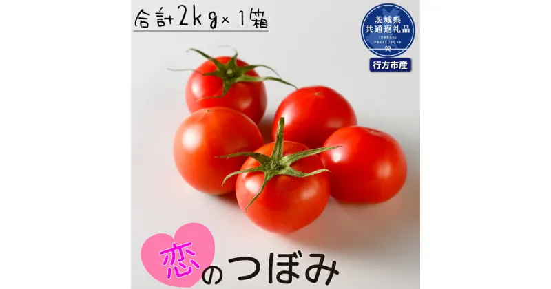 【ふるさと納税】トマト 恋のつぼみ 2kg 茨城県共通返礼品・行方市産 送料無料