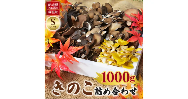 【ふるさと納税】きのこの詰め合わせ Sサイズ 1Kg 茨城県共通返礼品 城里町産 舞茸 椎茸 あわび茸 たもぎ茸 はなびら茸 完全室内栽培 栽培期間中農薬不使用 安心 安全 栄養豊富 こだわりのキノコ詰め合わせ 直送 新鮮 旬 おすすめ セット 贈り物 送料無料