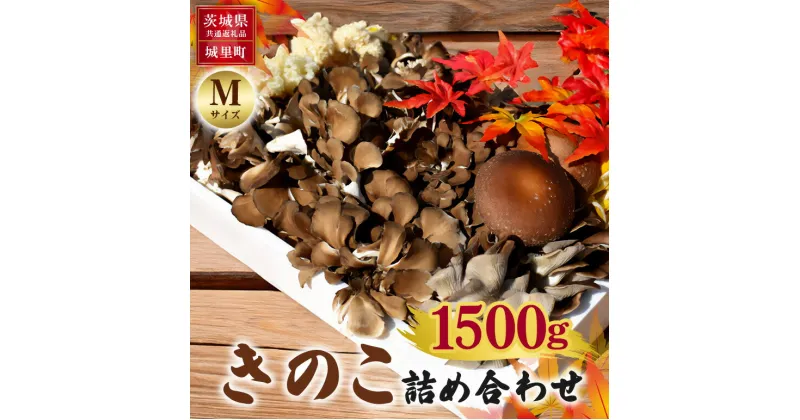 【ふるさと納税】きのこの詰め合わせ Mサイズ 1.5Kg 茨城県共通返礼品 城里町産 舞茸 椎茸 あわび茸 たもぎ茸 はなびら茸 完全室内栽培 栽培期間中農薬不使用 安心 安全 栄養豊富 こだわりのキノコ詰め合わせ 直送 新鮮 旬 おすすめ セット 贈り物 送料無料