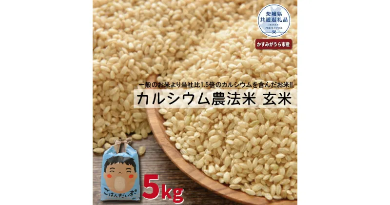 【ふるさと納税】カルシウム農法米 玄米5kg 茨城県共通返礼品・かすみがうら市産 米 お米 白米 こめ 精米 取り寄せ 特産 ごはん ご飯 コメ お取り寄せ ギフト 贈り物 お弁当 弁当 おにぎり ふっくら ツヤツヤ 甘い 農家直送 産地直送 国産 茨城県産 送料無料