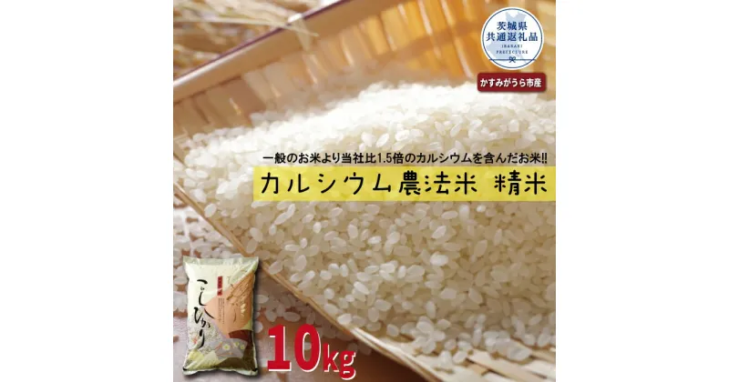 【ふるさと納税】カルシウム農法米 精米10kg 茨城県共通返礼品・かすみがうら市産 米 お米 白米 こめ 精米 取り寄せ 特産 ごはん ご飯 コメ お取り寄せ ギフト 贈り物 お弁当 弁当 おにぎり ふっくら ツヤツヤ 甘い 農家直送 産地直送 国産 茨城県産 送料無料