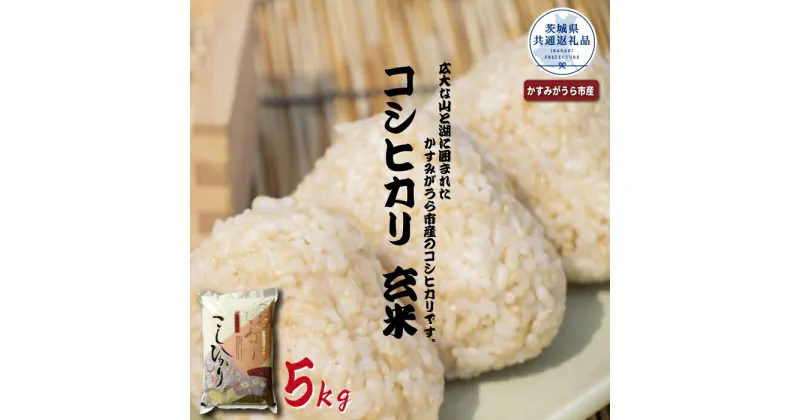 【ふるさと納税】コシヒカリ 玄米5Kg 茨城県共通返礼品 かすみがうら市産 米 玄米 コシヒカリ米 茨城県産 共通返礼品 コシヒカリ お米 コメ おこめ こめ こしひかり 有機 ブランド 健康 ギフト 贈り物 送料無料