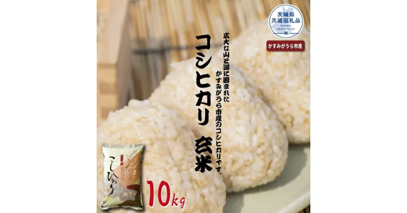 【ふるさと納税】コシヒカリ 玄米10kg 茨城県共通返礼品・かすみがうら市産 米 お米 白米 こめ 精米 取り寄せ 特産 ごはん ご飯 コメ お取り寄せ ギフト 贈り物 お弁当 弁当 おにぎり ふっくら ツヤツヤ 甘い 農家直送 産地直送 国産 茨城県産 送料無料