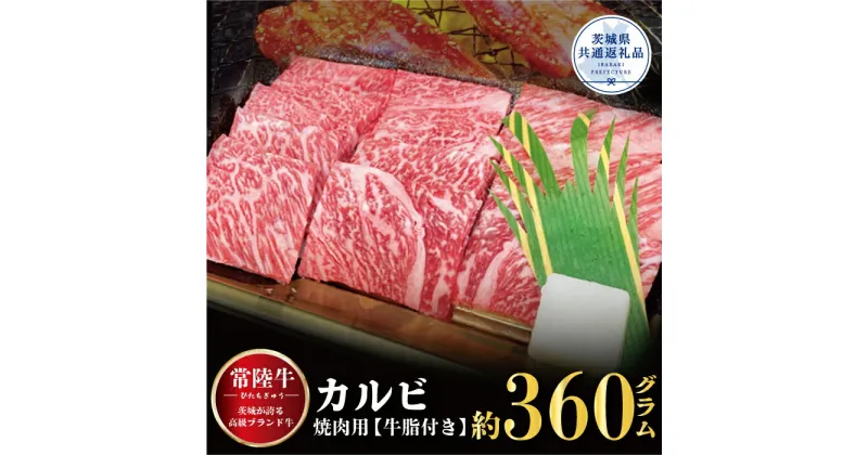 【ふるさと納税】常陸牛 カルビ 焼肉用 360g 茨城県共通返礼品 茨城県産銘柄黒毛和牛 500g 牛肉 肉 牛 焼肉 お肉 BBQ バーベキュー 食材 和牛 黒毛和牛 最高級ブランド お中元 上品な脂の甘さ 牛丼 肉ギフト 霜降り ブランド牛 国産牛 冷凍 茨城 送料無料