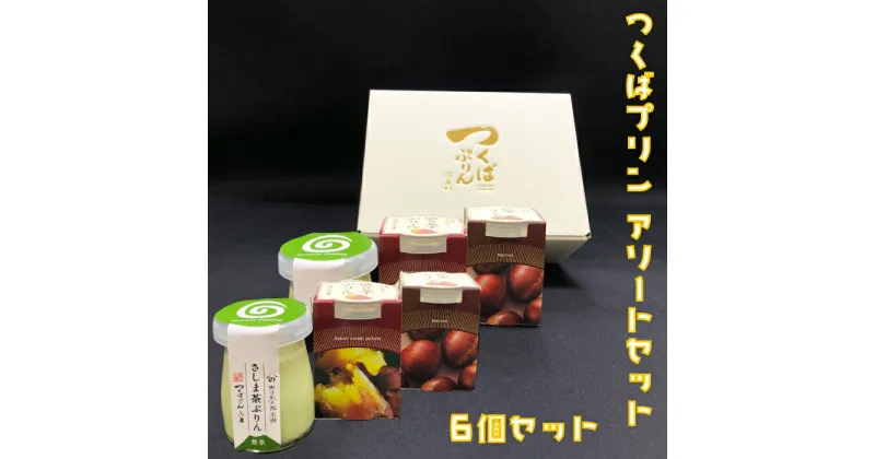 【ふるさと納税】つくばぷりん アソートセット 6個セット プリン ご褒美 手土産 奥久慈卵 卵黄 とろける食感 濃厚 プレーン 6個 冷蔵便 牛乳 生乳 ミルク 卵 スイーツ 洋菓子 おやつ 冷菓 デザート お取り寄せ ギフト プレゼント 贈り物 贈答品 化粧箱 送料無料