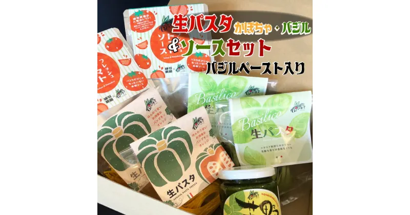 【ふるさと納税】生パスタ バジル・かぼちゃ &ソース&バジルぺーストセット 送料無料