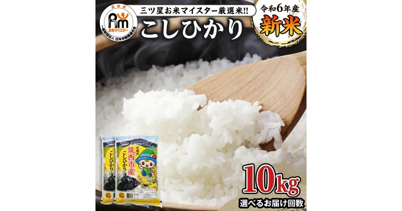 【ふるさと納税】茨城県 筑西市産 コシヒカリ 10kg ( 選べる お届け回数 ) 5kg × 2袋 令和6年産 三ツ星 マイスター 米 コメ こしひかり 単一米 精米