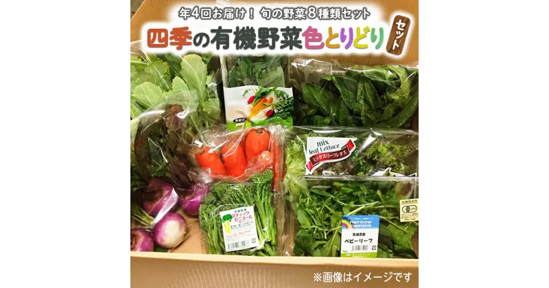 【ふるさと納税】【年4回お届け！定期便】四季の有機野菜色とりどりセット