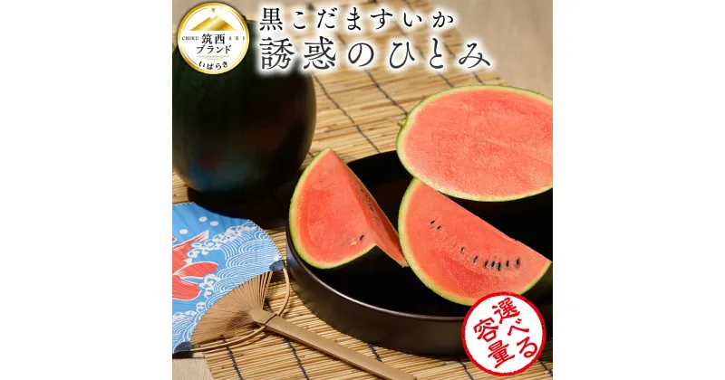 【ふるさと納税】【 JA北つくば 】 黒こだますいか 「 誘惑のひとみ 」 ( 選べる 内容量 ) 先行予約 スイカ 果物 フルーツ