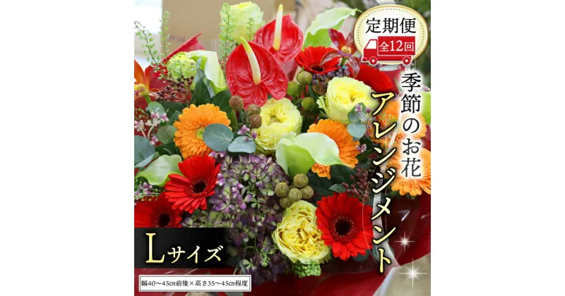 【ふるさと納税】 【 定期便 12ヶ月 】 毎月届く 季節の アレンジメント Lサイズ 花 生花 1年間 おうち時間 定期便 新生活 応援