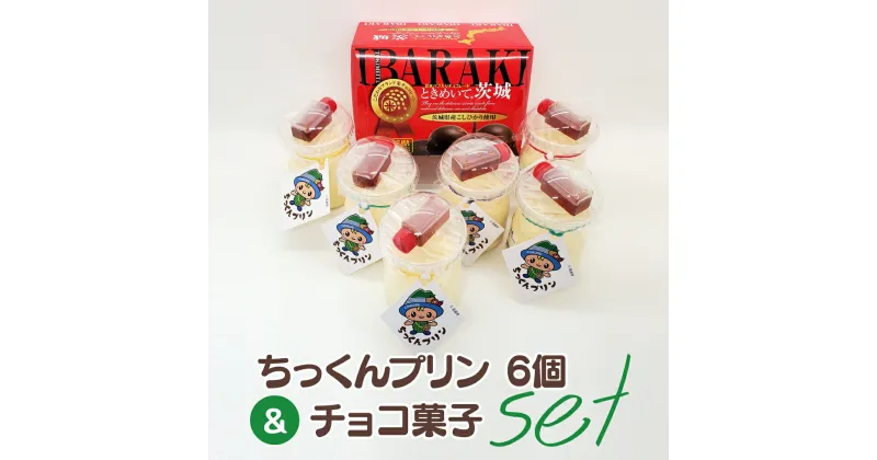 【ふるさと納税】ちっくんプリン 6個 ＆ チョコ菓子 セット ぷりん プリン チョコ チョコレート おかし おやつ 菓子