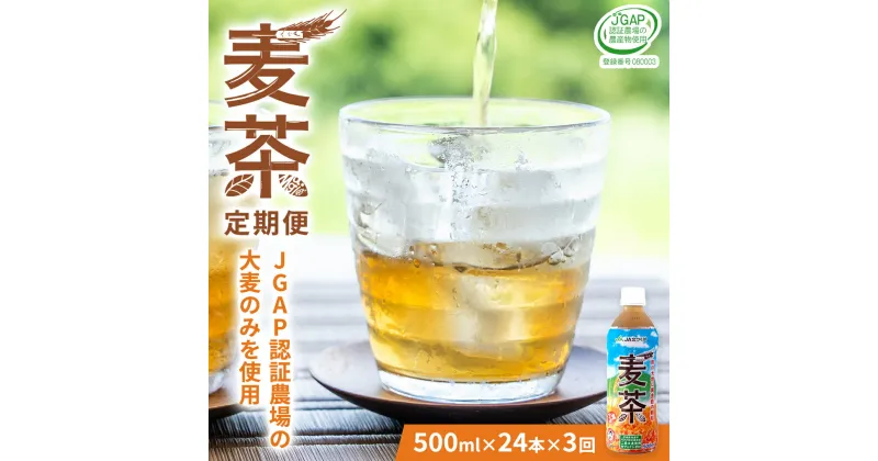 【ふるさと納税】【 3ヶ月 定期便 】 JA北つくば JGAP認証 麦茶 1箱 ( 500ml × 24本 ) JGAP JA お茶 茶 ペットボトル 麦 大麦 二条大麦 ノンカフェイン カフェインゼロ