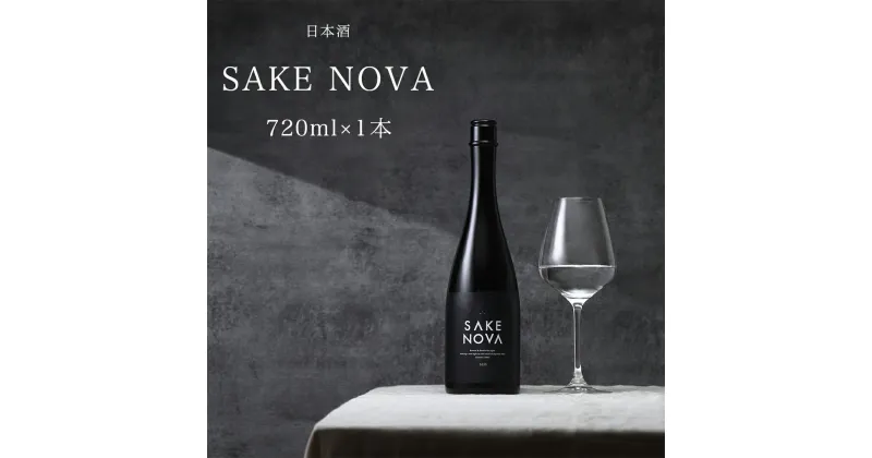 【ふるさと納税】SAKE NOVA 日本酒 酒 サケ