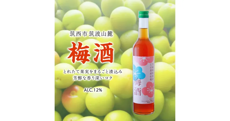 【ふるさと納税】梅酒 アルコール 12％ （ 500ml × 1本 ） 果実酒 お酒 酒 梅 うめ ウメ