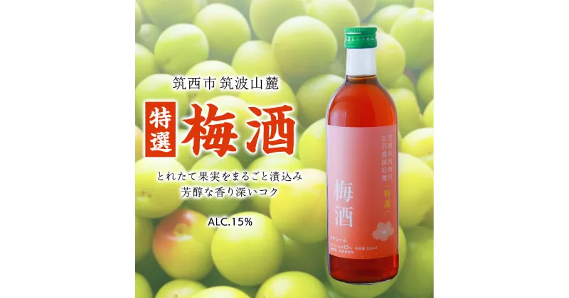 【ふるさと納税】【 特選 】 梅酒 アルコール 15％（ 500ml × 1本 ） 果実酒 お酒 酒 梅 うめ ウメ