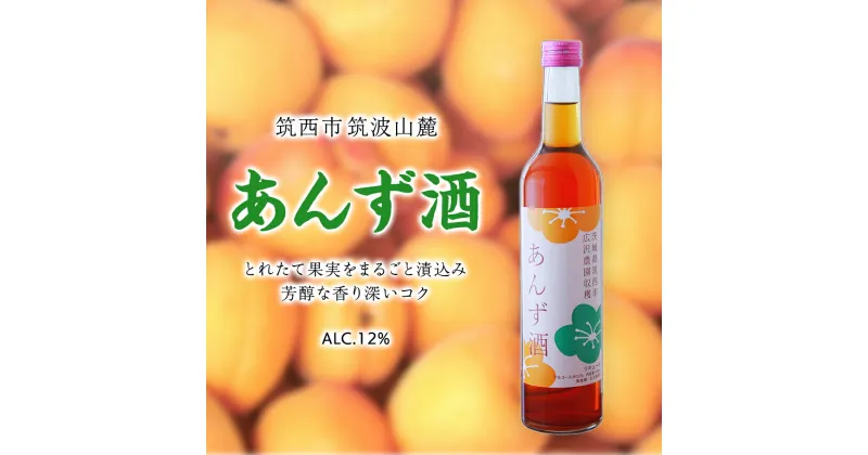 【ふるさと納税】あんず酒 アルコール 12％（ 500ml × 1本 ） 果実酒 お酒 酒 あんず