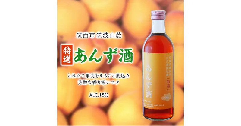 【ふるさと納税】【 特選 】 あんず酒 アルコール 15％ （ 500ml × 1本 ） 果実酒 お酒 酒 あんず