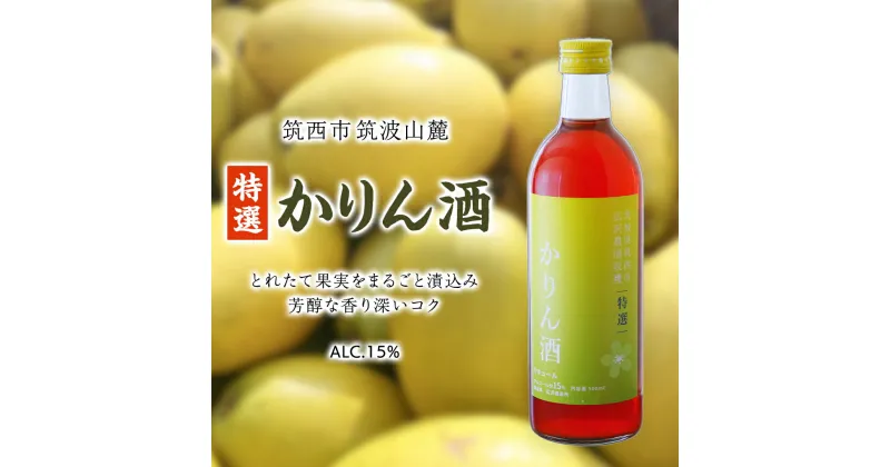 【ふるさと納税】【 特選 】 かりん酒 アルコール 15％ （ 500ml × 1本 ） 果実酒 お酒 酒 かりん