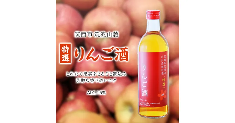 【ふるさと納税】【 特選 】 りんご酒 アルコール 15％ （ 500ml × 1本 ） 果実酒 お酒 酒 リンゴ りんご 林檎