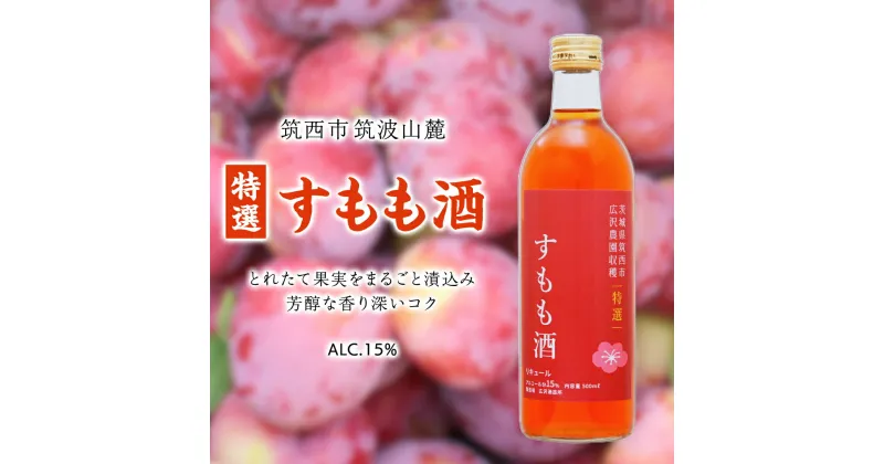 【ふるさと納税】【 特選 】 すもも酒 アルコール 15％ （ 500ml × 1本 ） 果実酒 お酒 酒 すもも 桃