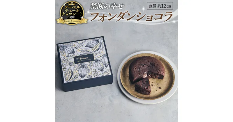 【ふるさと納税】【 禁断の幸せ 】 フォンダンショコラ チョコ チョコレート 生チョコ ショコラ ケーキ デザート スイーツ 贈り物 贈答 ギフト バレンタイン ホワイトデー