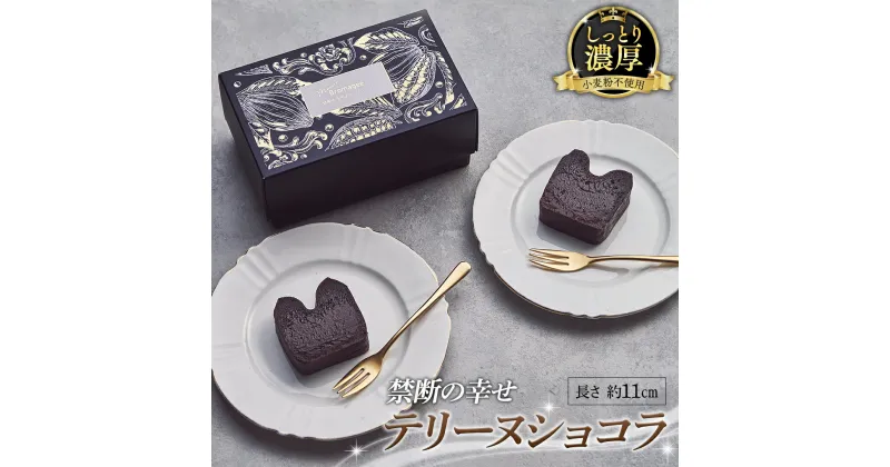 【ふるさと納税】【 禁断の幸せ 】 テリーヌショコラ チョコ チョコレート 生チョコ ショコラ ケーキ デザート スイーツ テリーヌ 贈り物 贈答 ギフト バレンタイン ホワイトデー