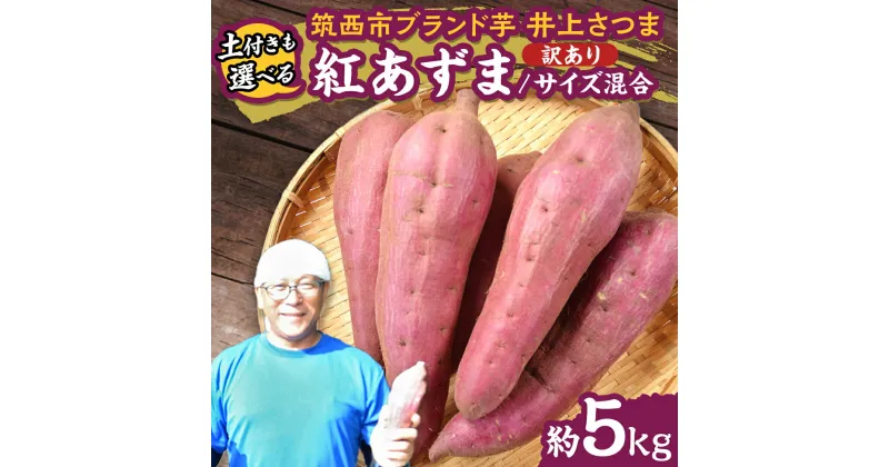 【ふるさと納税】【 よしのいも 】訳あり 井上さつま 「 紅あずま 」 サイズ混合 約5kg ( 選べる 土付き / 土なし ) さつまいも いも おいも 焼き芋 芋 おやつ まごころ野菜よしの