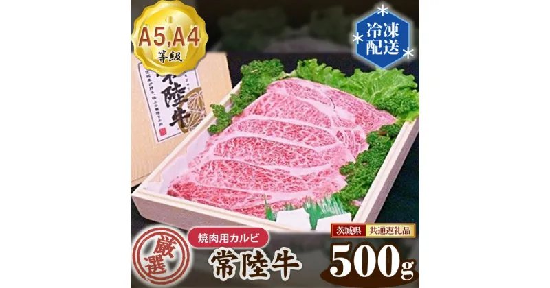 【ふるさと納税】No.100 常陸牛 厳選！焼肉用カルビ500g（A5・A4等級）＜茨城県共通返礼品＞ ／ 牛肉 黒毛和牛 高級 茨城県 送料無料 茨城県