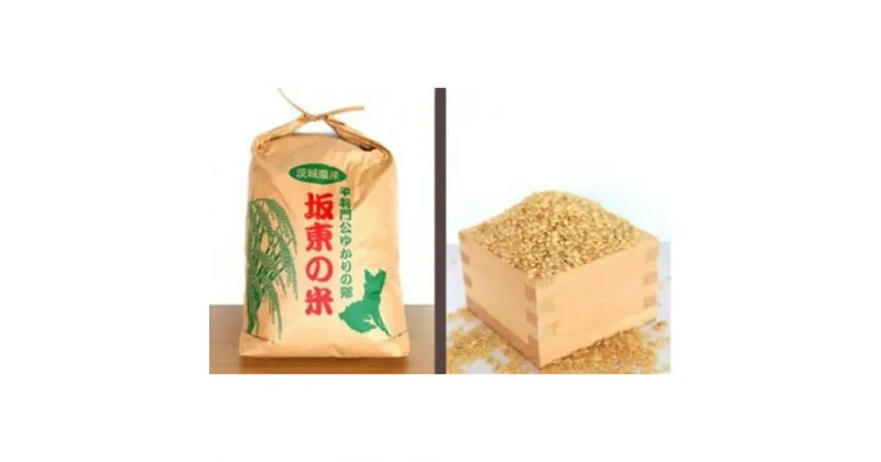 【ふるさと納税】No.175 【令和6年産】茨城県坂東産　コシヒカリ10kg（玄米） ／ お米 こしひかり 旨み 粘り 送料無料 茨城県