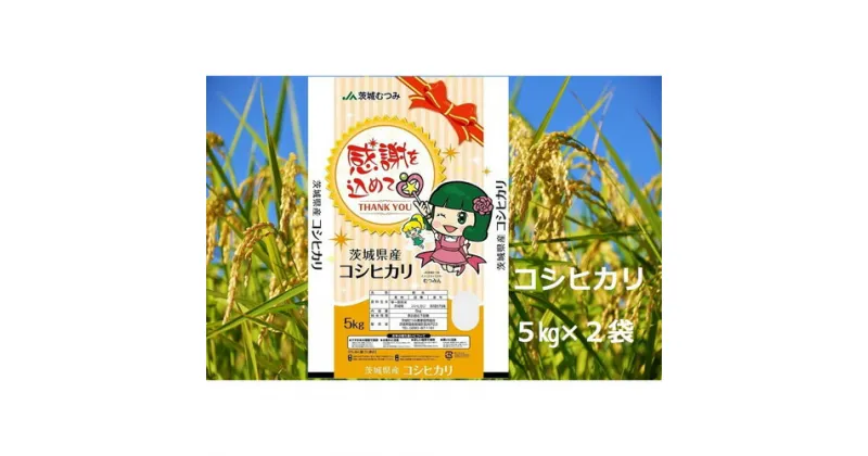 【ふるさと納税】No.179 【令和6年産】茨城県産コシヒカリ10kg（5kg×2袋）精米 JA茨城むつみ ／ お米 こしひかり 旨味 送料無料 茨城県