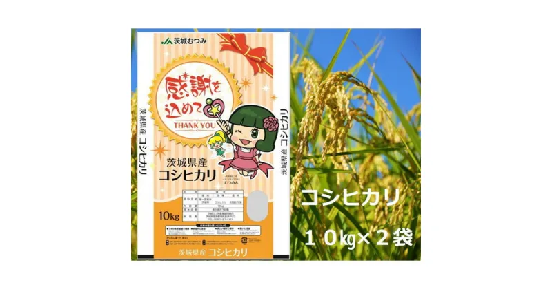 【ふるさと納税】No.180 【令和6年産】茨城県産コシヒカリ20kg（10kg×2袋）精米 JA茨城むつみ ／ お米 こしひかり 旨味 送料無料 茨城県