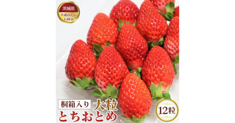 【ふるさと納税】No.364 【先行予約】桐箱入り　大粒とちおとめ　12粒【茨城県共通返礼品 石岡市】 ／ 旬 新鮮 苺 イチゴ 果物 フルーツ 贈答用 送料無料 茨城県