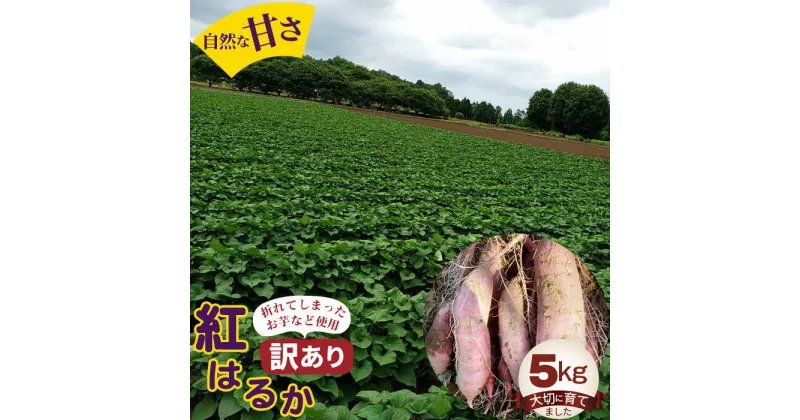 【ふるさと納税】No.384 【訳あり】紅はるか5kg ／ 自然 芋 いも 甘い 天然資材 さつまいも 送料無料 茨城県