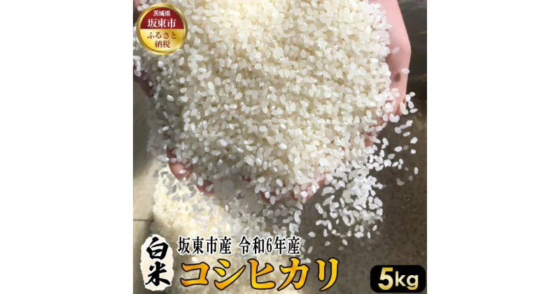 【ふるさと納税】No.391 白米　コシヒカリ5kg【令和6年産】 ／ 自然 お米 米 こめ 送料無料 茨城県