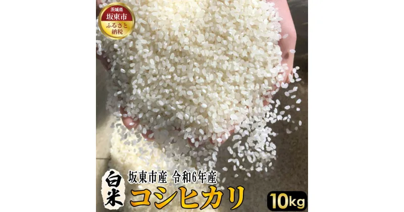 【ふるさと納税】No.404 白米　コシヒカリ10kg【令和6年産】 ／ 自然 お米 米 こめ 送料無料 茨城県