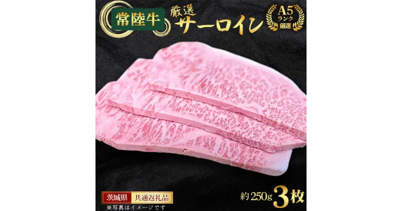 【ふるさと納税】No.460 【常陸牛】A5ランク厳選サーロイン（ステーキ用）約250g×3枚＜茨城県共通返礼品＞ ／ お肉 牛肉 赤身 キャンプ バーベキュー BBQ お祝い 御祝 送料無料 茨城県