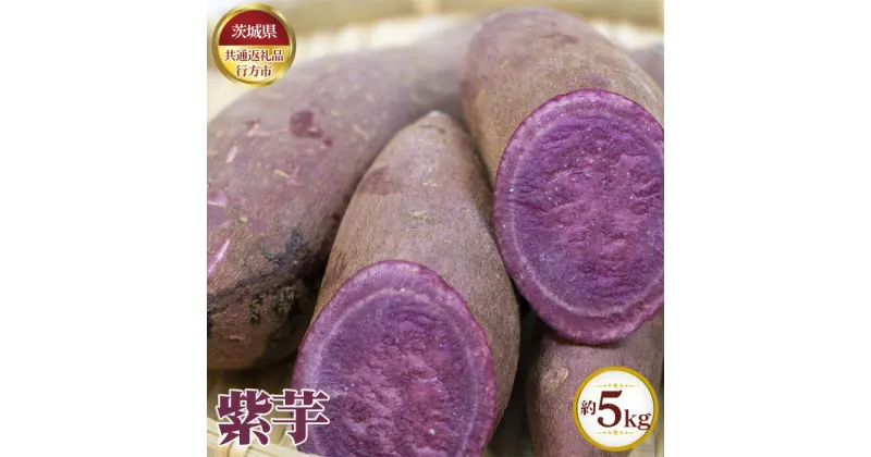 【ふるさと納税】No.623 【先行予約】紫芋　約5kg【茨城県共通返礼品 行方市】 ／ 旬 新鮮 むらさき芋 ムラサキイモ さつまいも サツマイモ 野菜 送料無料 茨城県