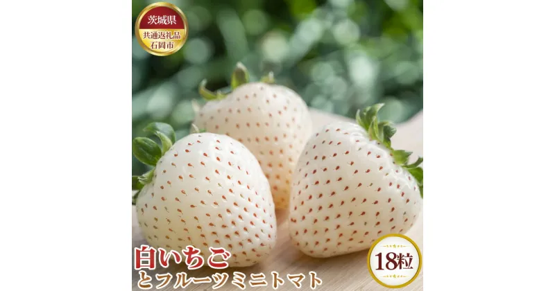 【ふるさと納税】No.683 【先行予約】白いちごとフルーツミニトマト　18粒【茨城県共通返礼品 石岡市】 ／ 苺 イチゴ とまと 詰合せ セット 送料無料 茨城県