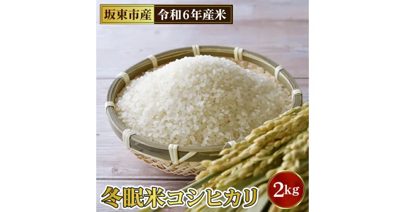 【ふるさと納税】No.759 「令和6年産」冬眠米コシヒカリ　2kg ／ お米 コメ 甘み ツヤ 送料無料 茨城県