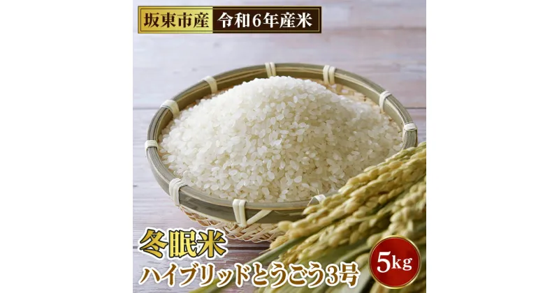 【ふるさと納税】No.760 「令和6年産」冬眠米ハイブリッドとうごう3号　5kg ／ お米 コメ 粘り 送料無料 茨城県