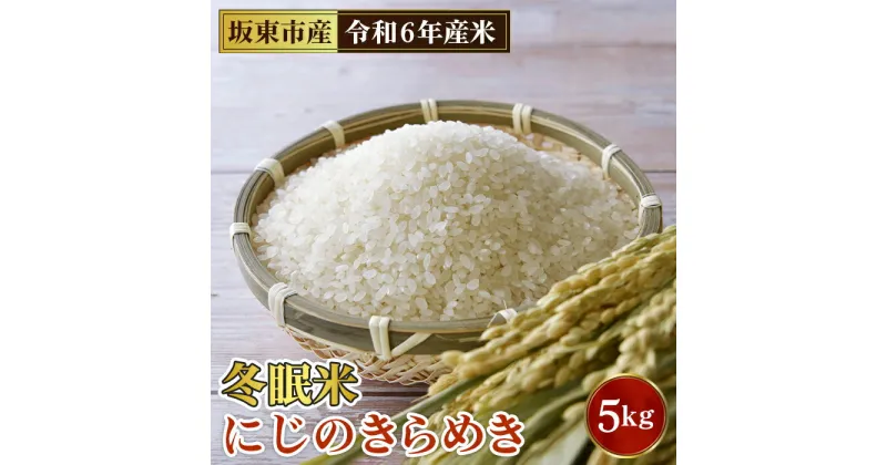 【ふるさと納税】No.762 「令和6年産」冬眠米にじのきらめき　5kg ／ お米 コメ 大粒 送料無料 茨城県