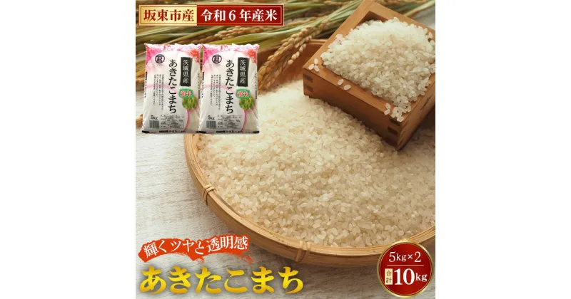 【ふるさと納税】No.771 令和6年産　あきたこまち10kg【坂東市産】／ 自然 お米 こめ ごはん 送料無料 茨城県